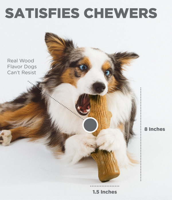 Petstages - Dogwood Durable Sticks - Image 4