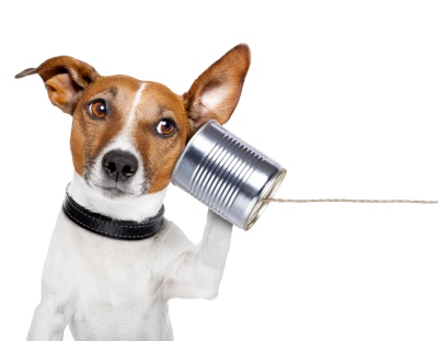 dog on the phone with a can