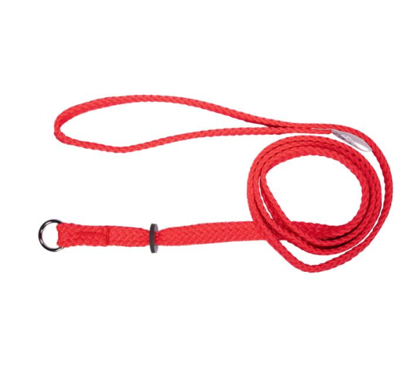 Beau Pets - Nylon - Single Nylon - Choker Lead - Red
