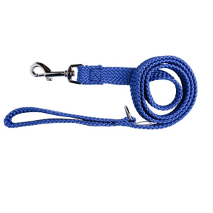 Beau Pets - Double Nylon - Lead - Blue