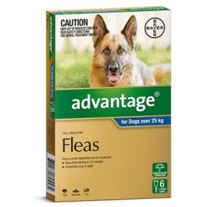 Advantage - Fleas - Dogs over 25kg
