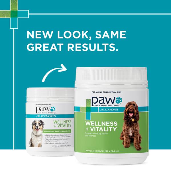 Blackmores: Paw - Wellness + Vitality Chews - Image 2