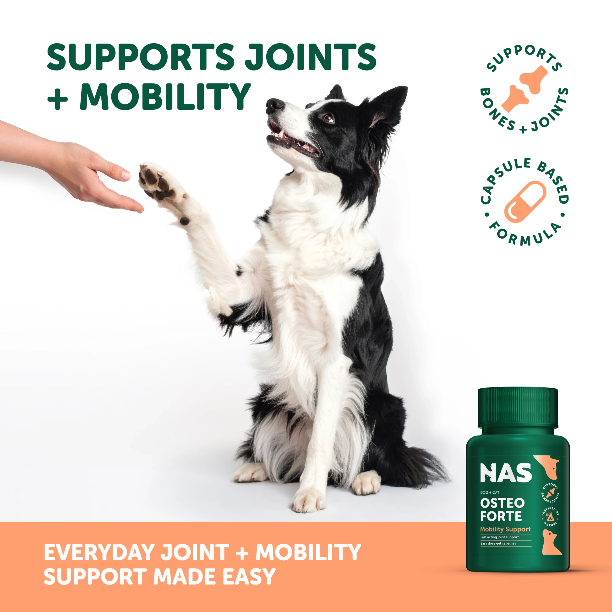 Natural Animal Solutions - OsteoForte - Image 6