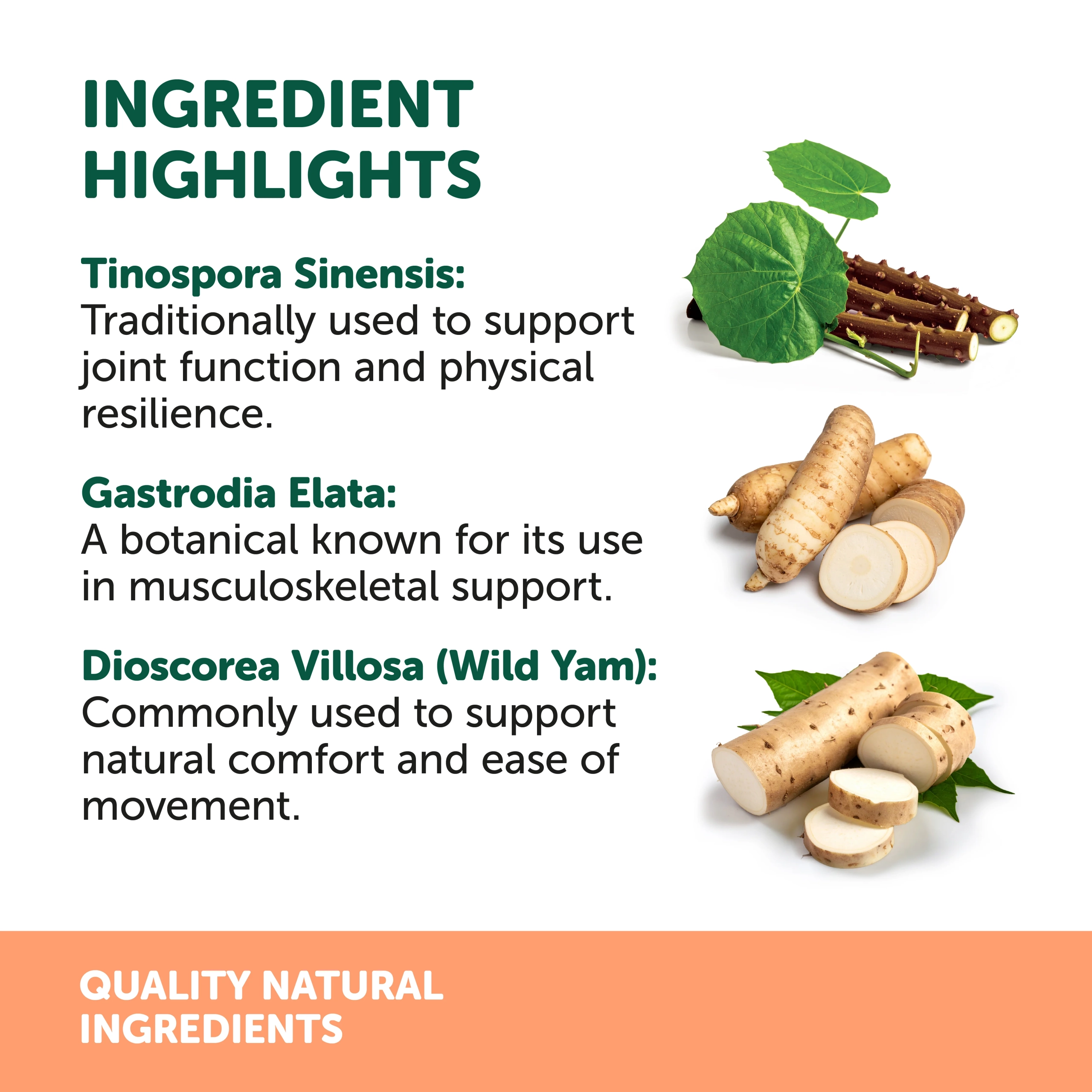 Natural Animal Solutions - OsteoForte - Image 7