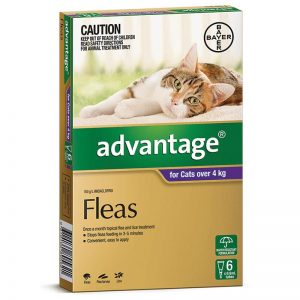 Advantage - Fleas - Cats over 4kg