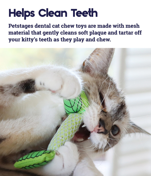 Catstages - Fresh Breath Mint Stick - Image 4