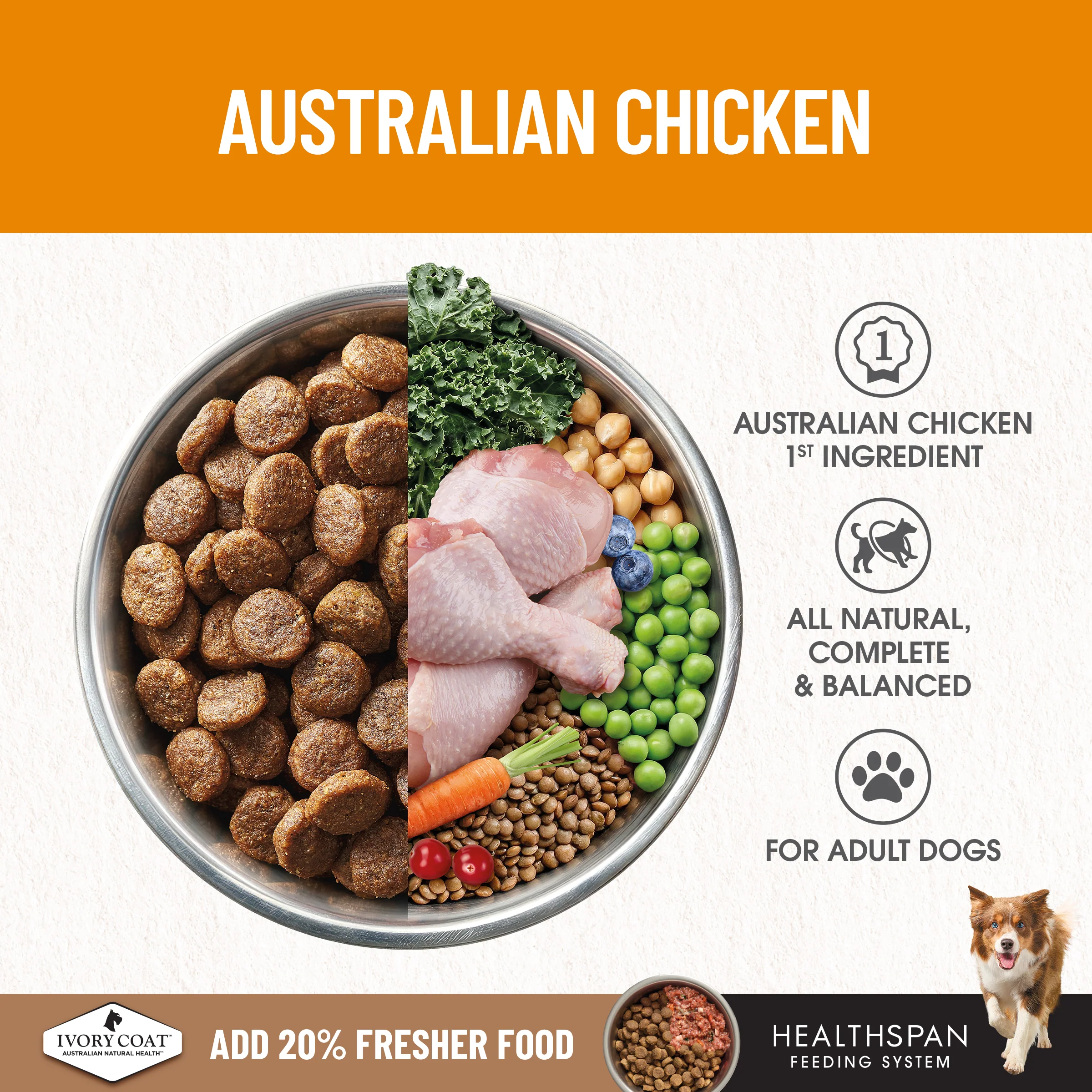 Ivory Coat - Adult Dog - GRAIN FREE - Chicken - Image 6