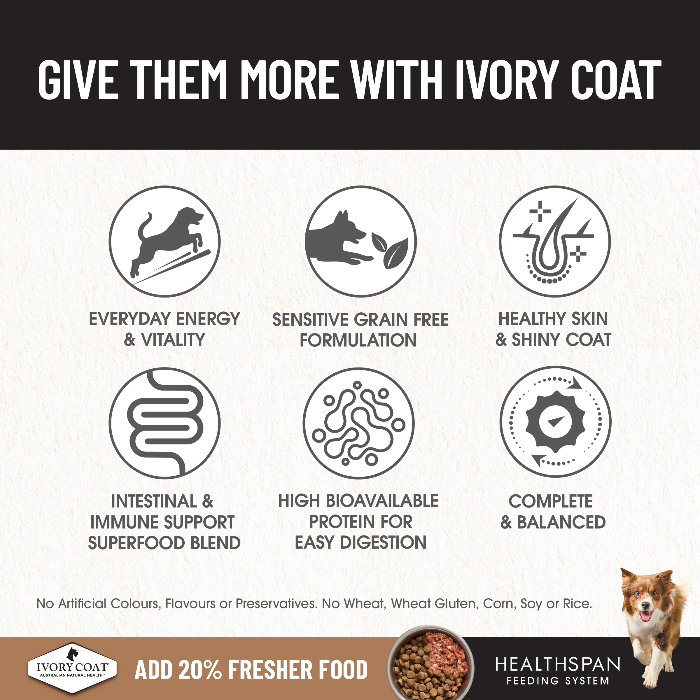 Ivory Coat - Adult Dog - GRAIN FREE - Chicken - Image 4