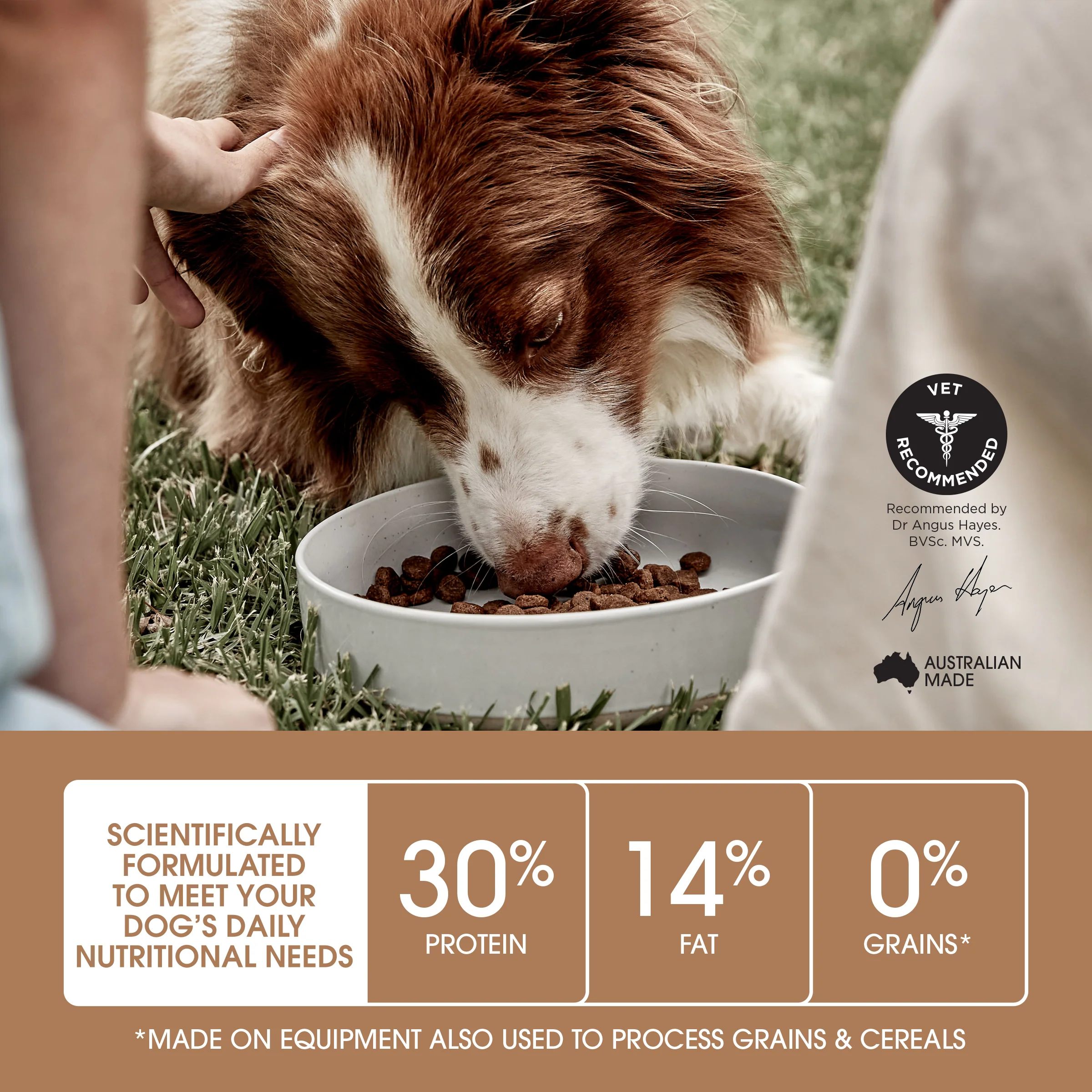 Ivory Coat - Adult Dog - GRAIN FREE - Chicken - Image 5