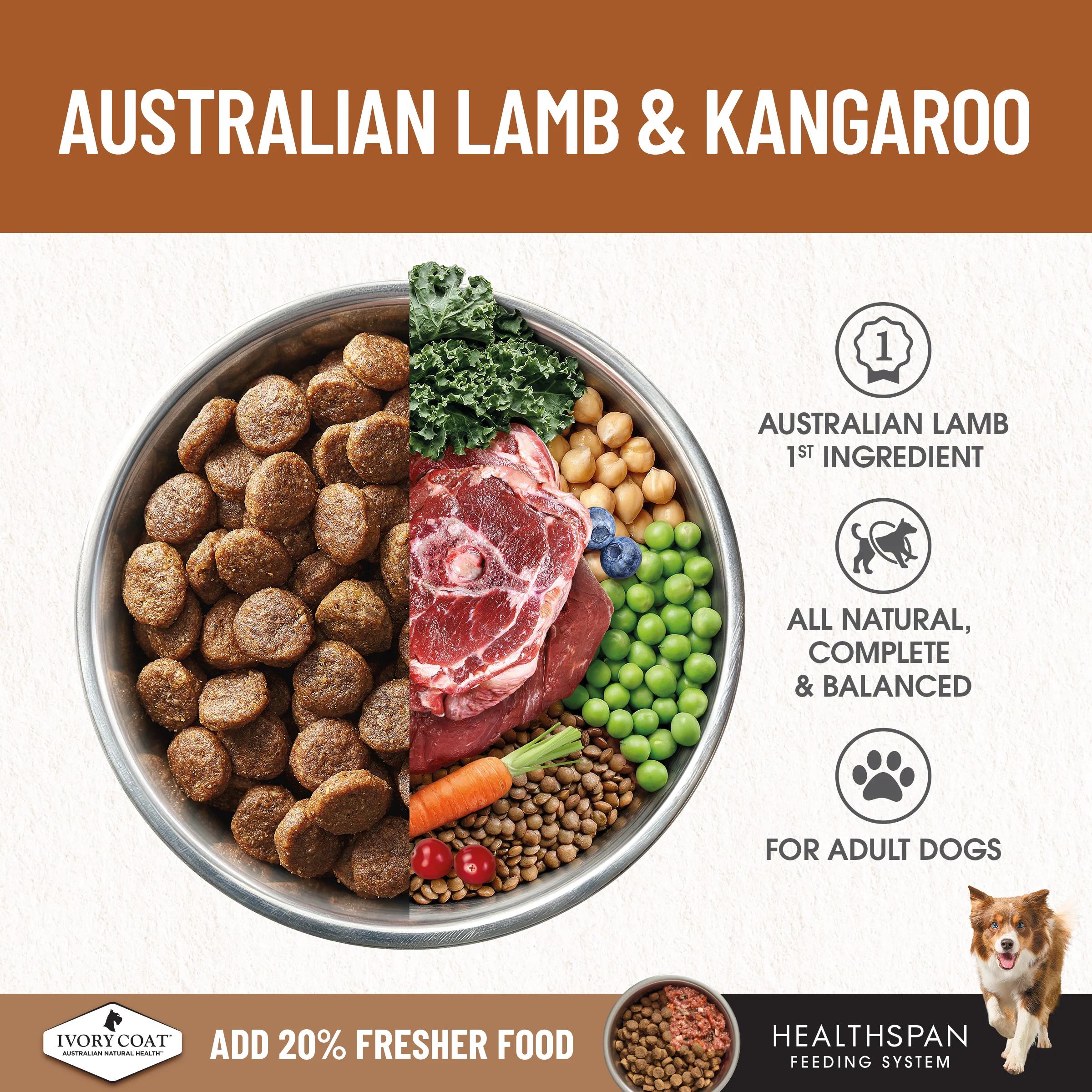 Ivory Coat - Adult Dog - GRAIN FREE - Lamb & Kangaroo - Image 5
