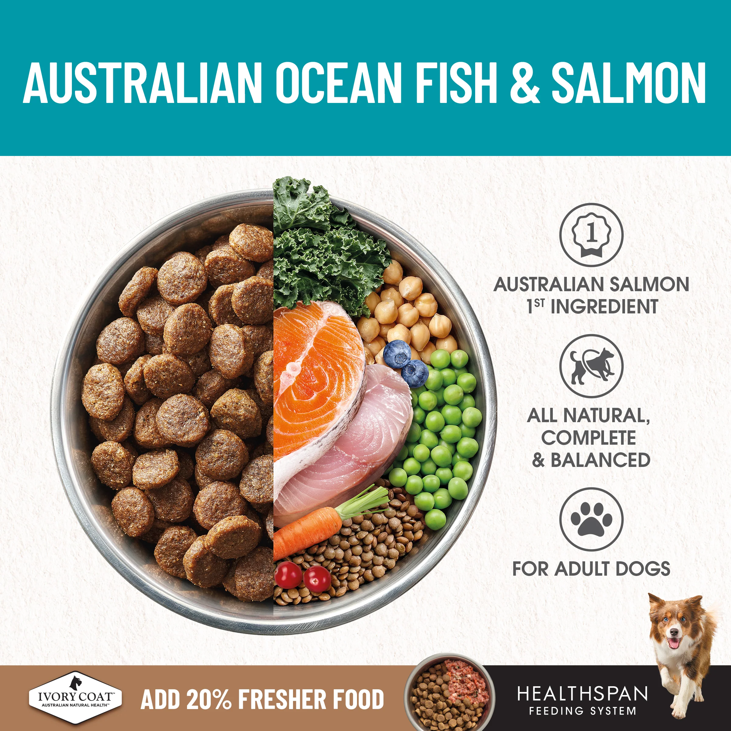 Ivory Coat - Adult Dog - GRAIN FREE - Salmon & Ocean Fish - Image 6