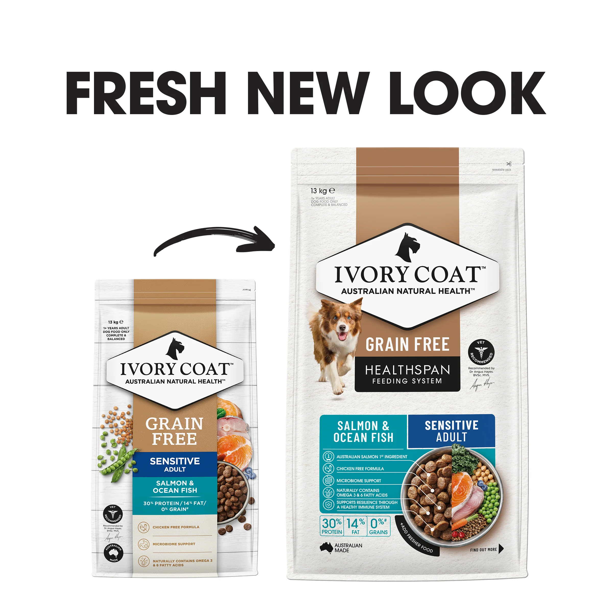 Ivory Coat - Adult Dog - GRAIN FREE - Salmon & Ocean Fish - Image 2