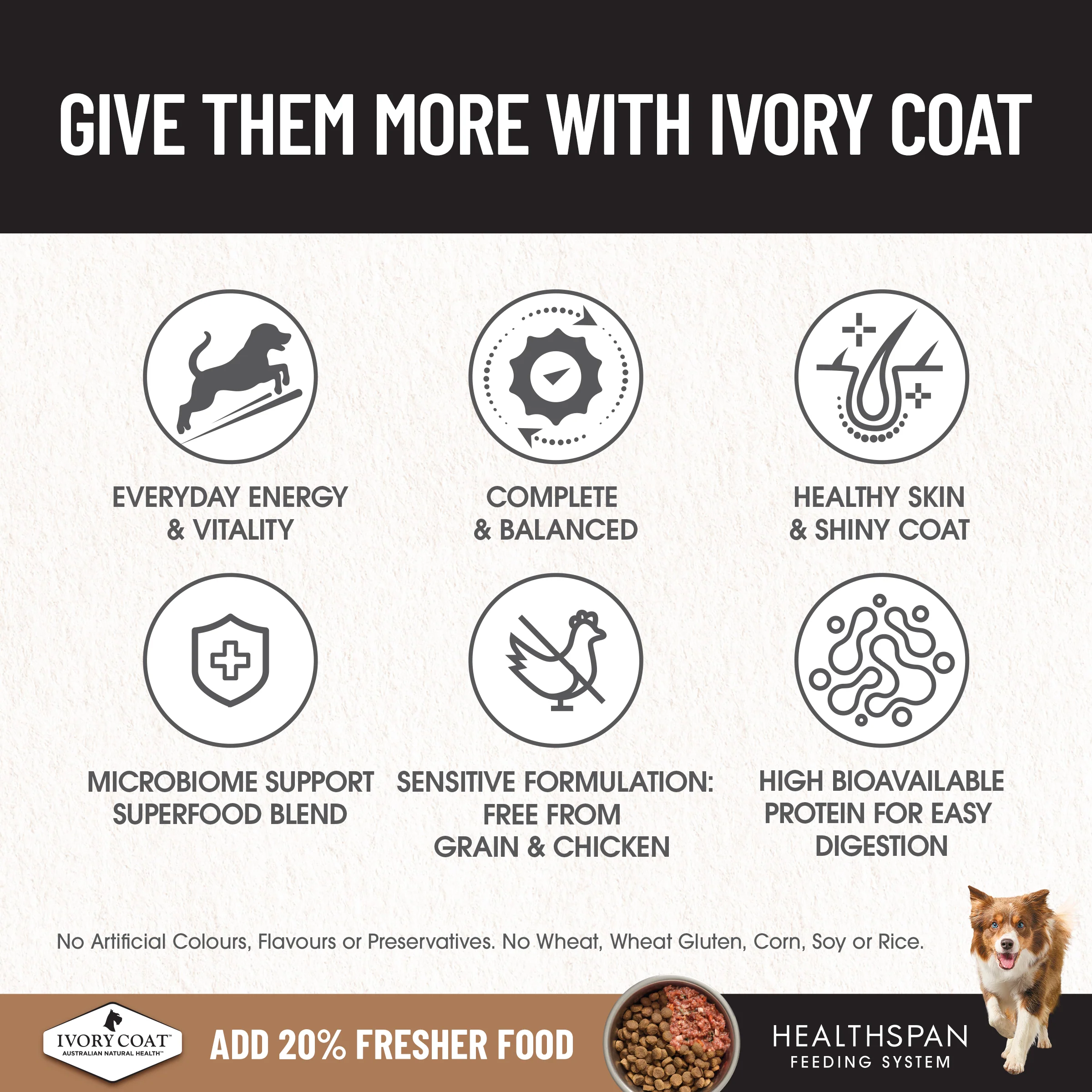 Ivory Coat - Adult Dog - GRAIN FREE - Salmon & Ocean Fish - Image 4
