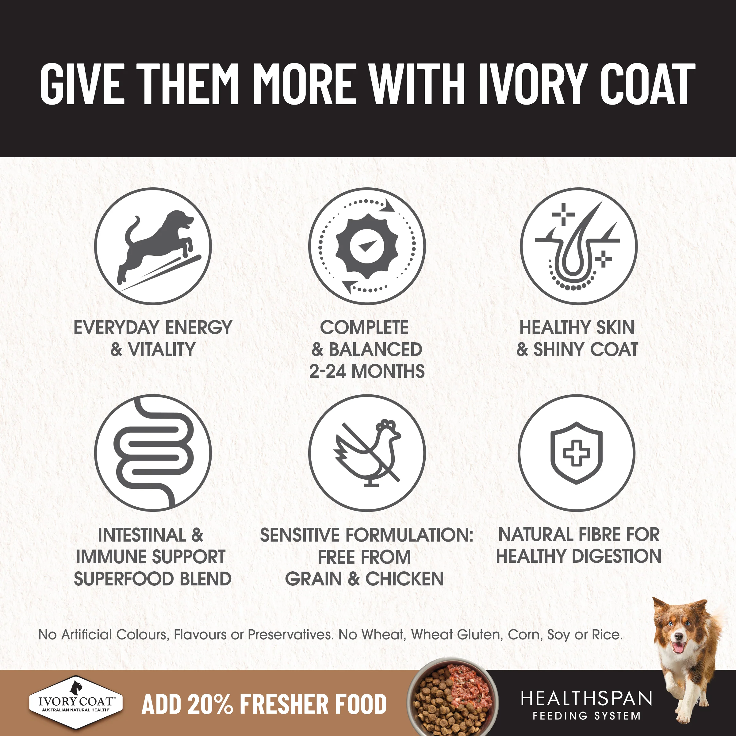 Ivory Coat - Puppy - GRAIN FREE - Large Breed - Lamb - Image 4