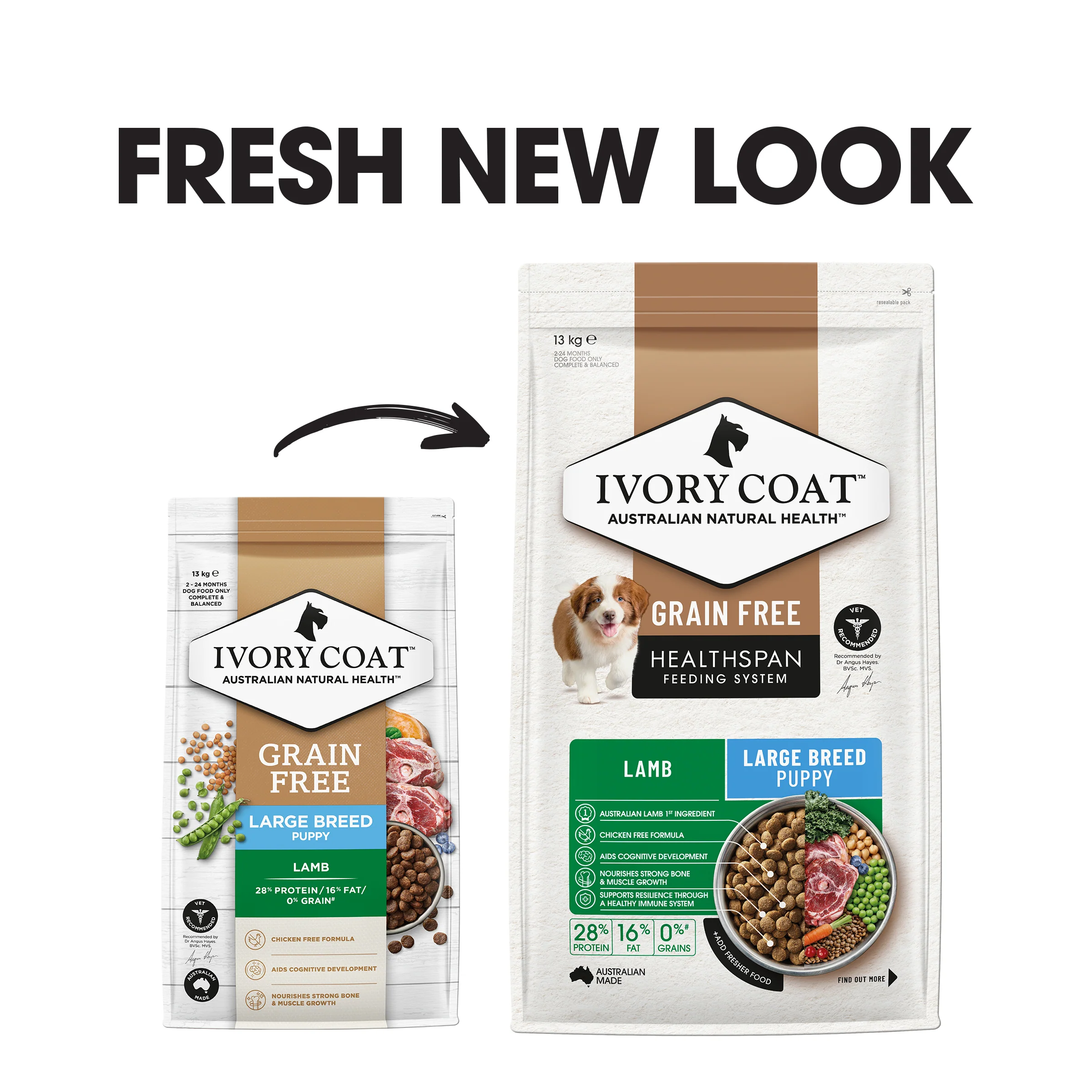 Ivory Coat - Puppy - GRAIN FREE - Large Breed - Lamb - Image 2