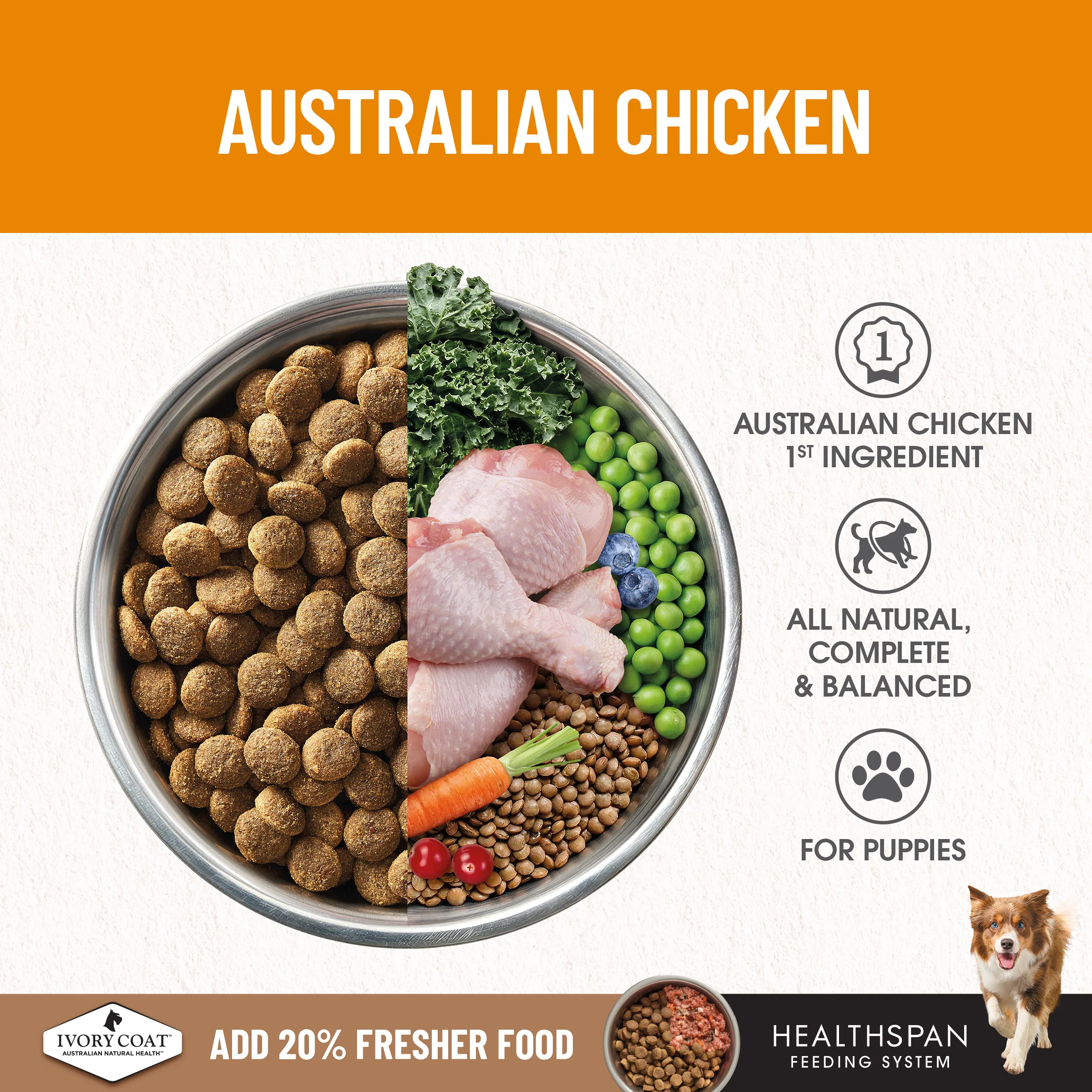 Ivory Coat - Puppy - GRAIN FREE - Chicken - Image 6