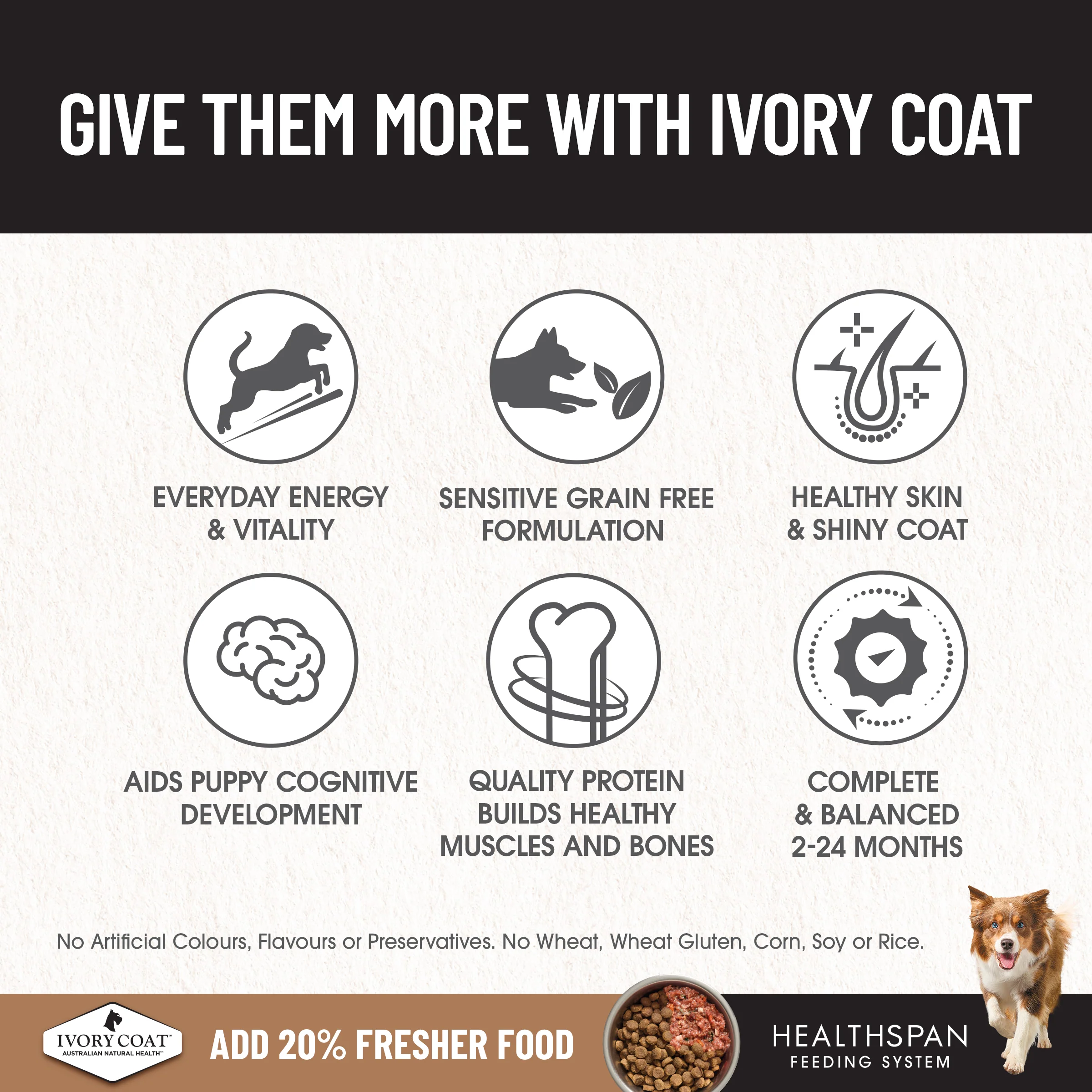 Ivory Coat - Puppy - GRAIN FREE - Chicken - Image 4