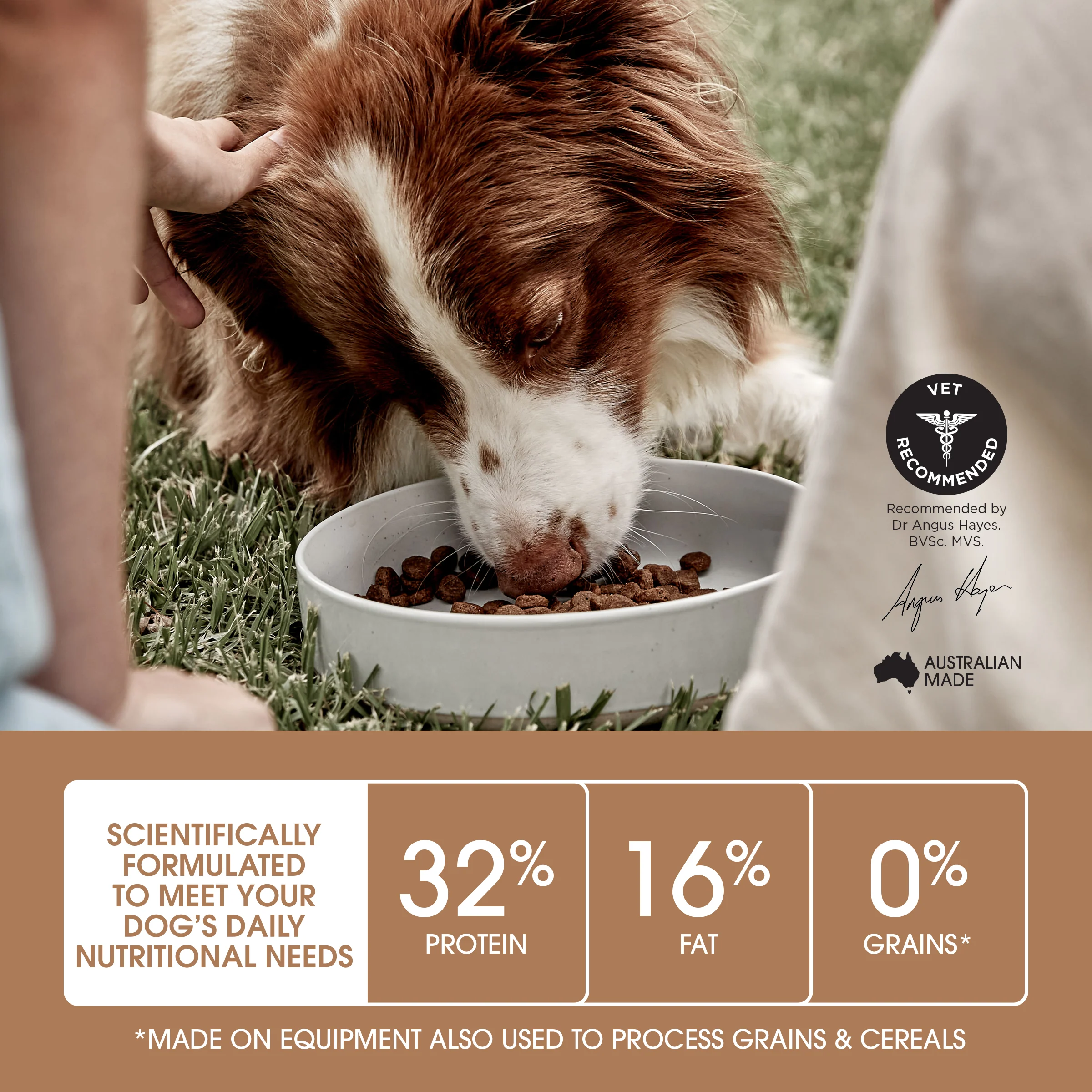 Ivory Coat - Puppy - GRAIN FREE - Chicken - Image 5