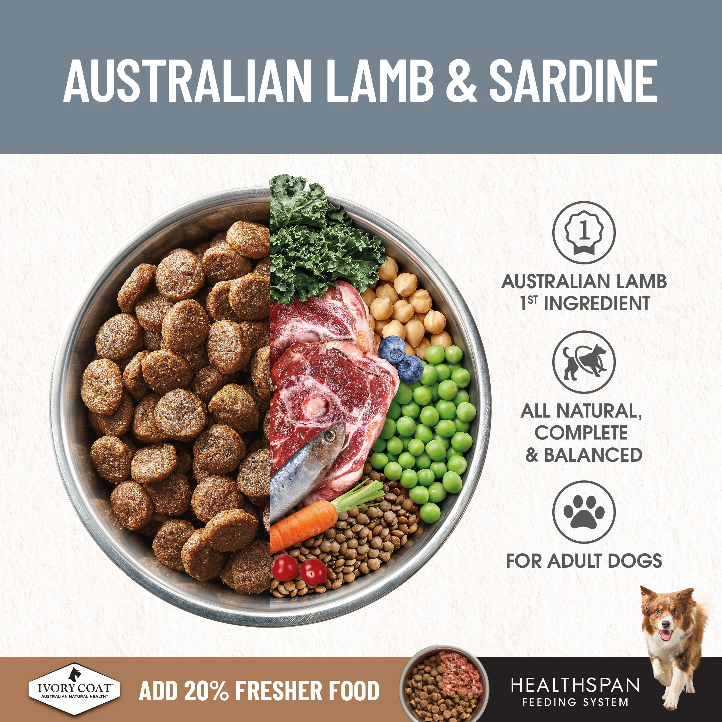 Ivory Coat - Adult Dog - GRAIN FREE - Lamb & Sardine - Image 6