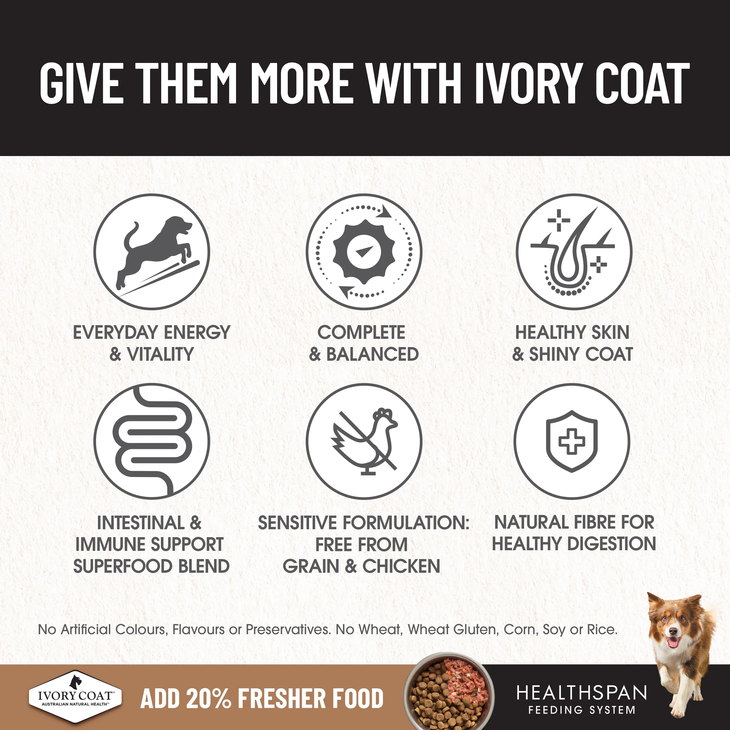 Ivory Coat - Adult Dog - GRAIN FREE - Lamb & Sardine - Image 4