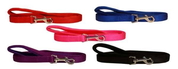 Beau Pets - Neoprene Handle - Nylon Lead - Blue - Image 2