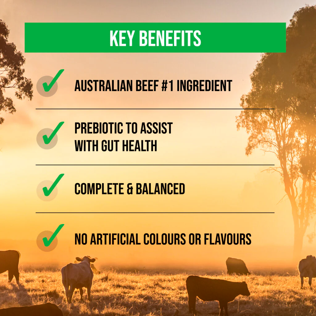 Stockman & Paddock - Adult Dog - GRAIN FREE - Aussie Beef - Image 3