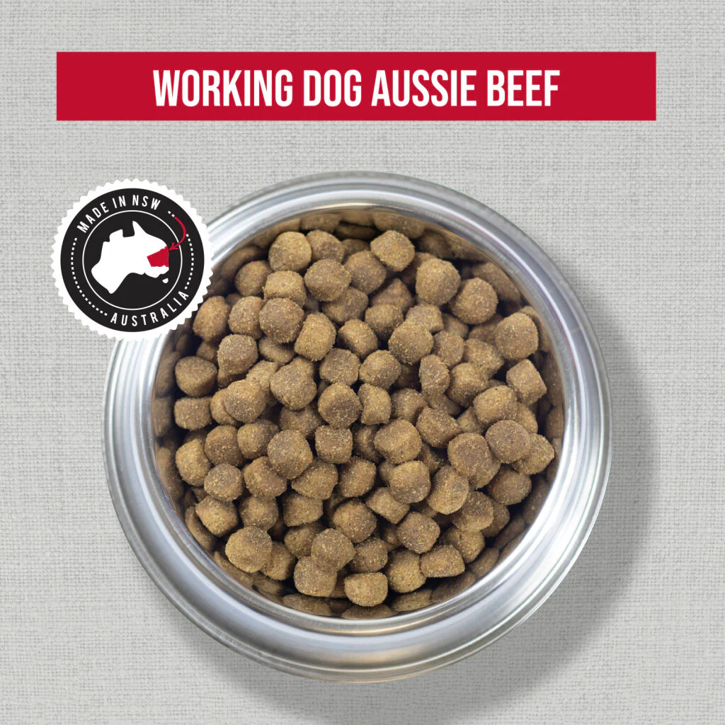 Stockman & Paddock - Adult Dog - Working Dog - Aussie Beef - Image 2