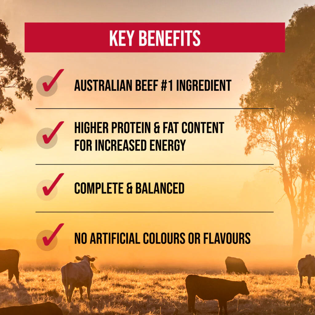 Stockman & Paddock - Adult Dog - Working Dog - Aussie Beef - Image 3