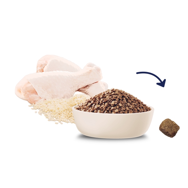 Advance - Kitten - Chicken - Short Dated - Image 9