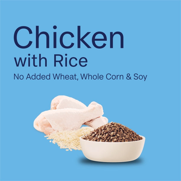 Advance - Kitten - Chicken - Short Dated - Image 13