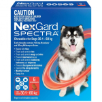 NexGard Spectra - Chewable for Dogs - nexgard-spectra-chews-very-large-dogs-6s-30-1-60kg-red