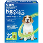 NexGard Spectra - Chewable for Dogs - nexgard-spectra-chews-medium-dogs-6s-7-6-15kg-green