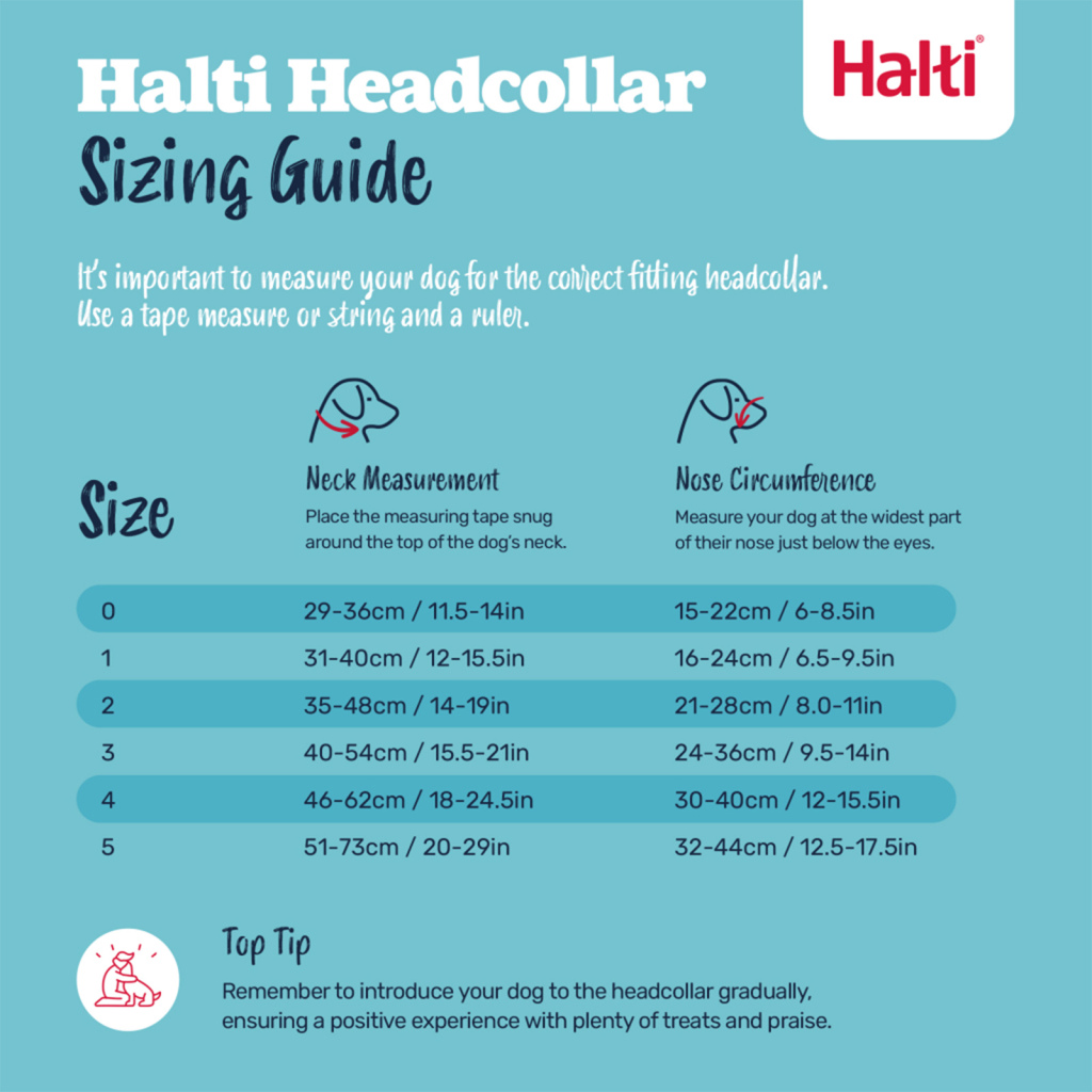 Company of Animals - Halti - Headcollar - Image 11