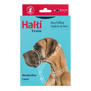 Company of Animals - Halti - Headcollar