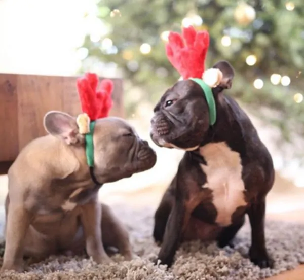 Zippy Paws - Christmas Antlers Headband - Image 2