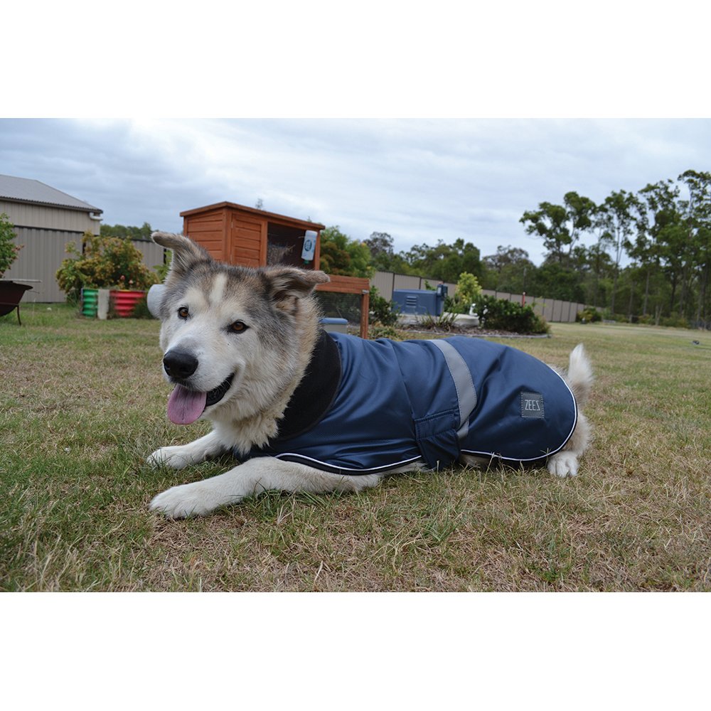 ZeeZ - Waterproof Dapper Dog Coat - Old Navy - Image 3
