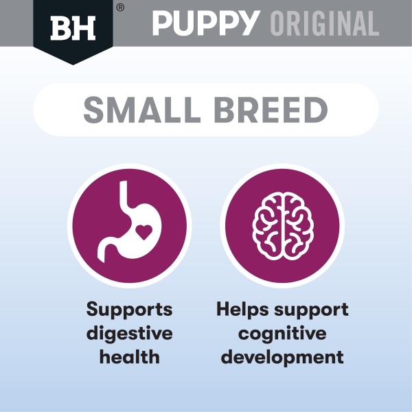 Black Hawk - Puppy - Small Breed - Lamb & Rice - Image 7