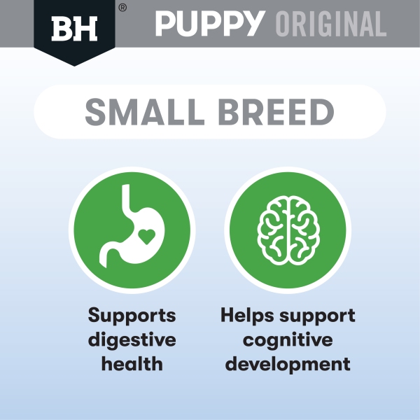Black Hawk - Puppy - Small Breed - Chicken & Rice - Image 7