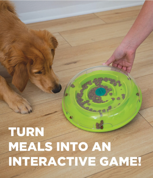 Outward Hound - Nina Ottosson - Dog Wobble Bowl (Level 1) - Image 6