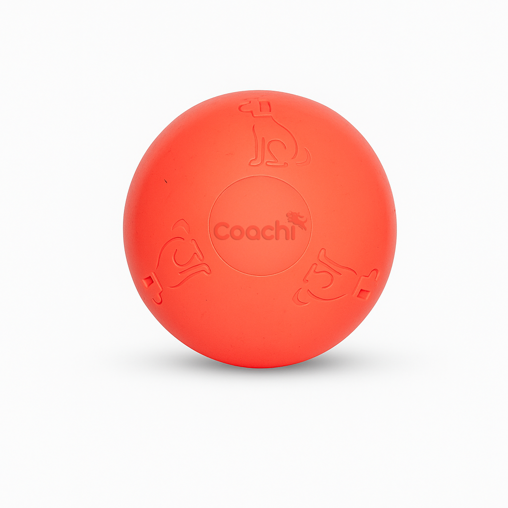 Coachi - Boomi Ball - Image 5