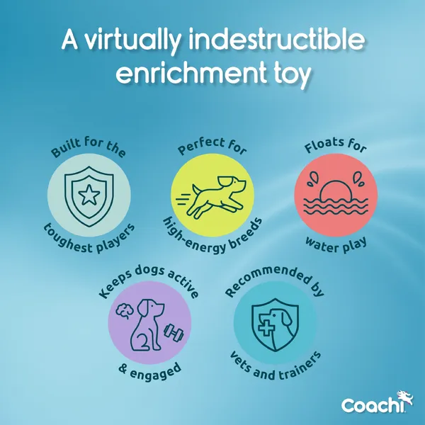 Coachi - Boomi Ball - Image 6