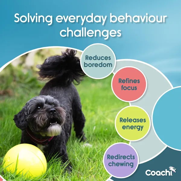 Coachi - Boomi Ball - Image 7