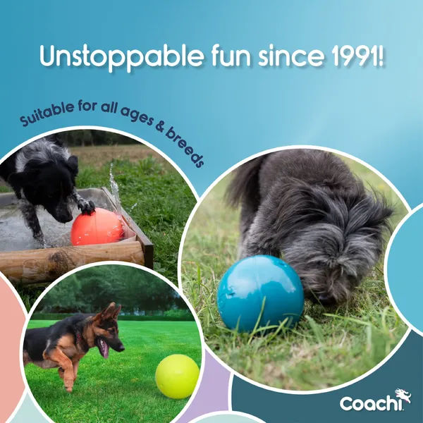 Coachi - Boomi Ball - Image 8