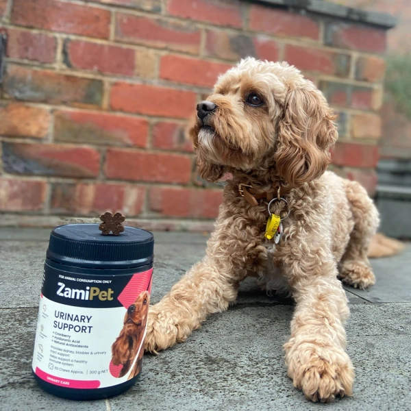 ZamiPet - Urinary Support - Image 4