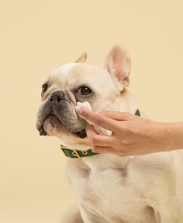 Squeaky - Probiotic Pet Eye Wipes - Image 3