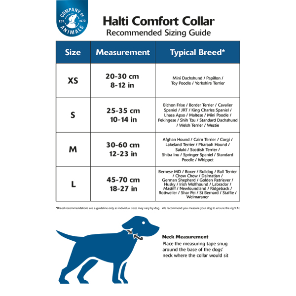 Company of Animals - Halti - Comfort Collar - Purple - Image 4