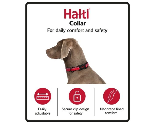 Company of Animals - Halti - Comfort Collar - Purple - Image 5