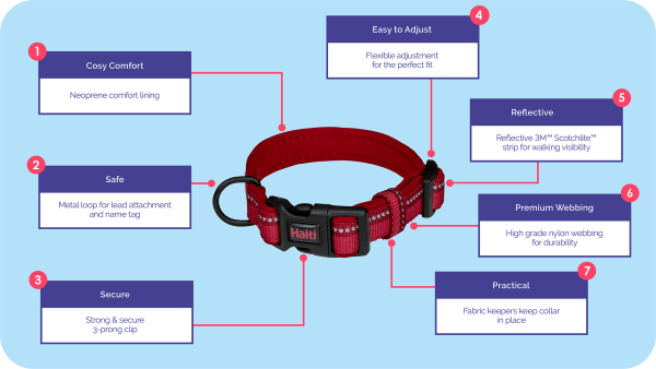 Company of Animals - Halti - Comfort Collar - Purple - Image 3