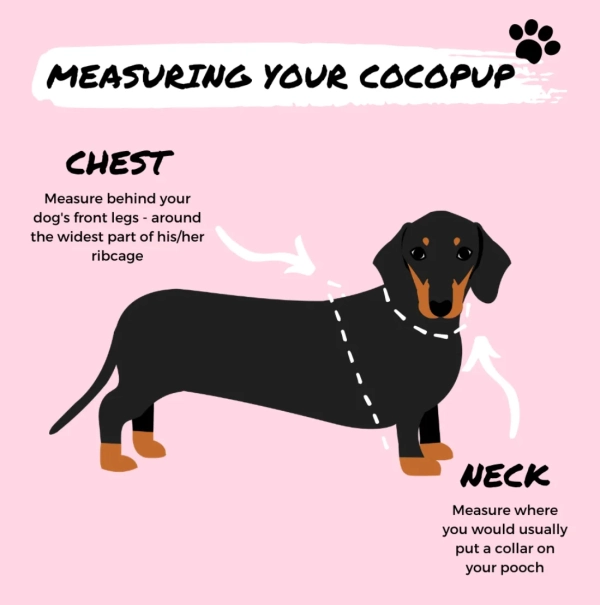 Cocopup London - Adjustable Neck Harness - Daisy Chain - Image 5