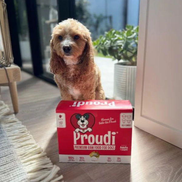 Proudi - Super Premium Raw Food for Dogs - Red Combo - Image 6